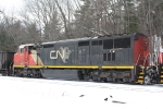 CN 2445